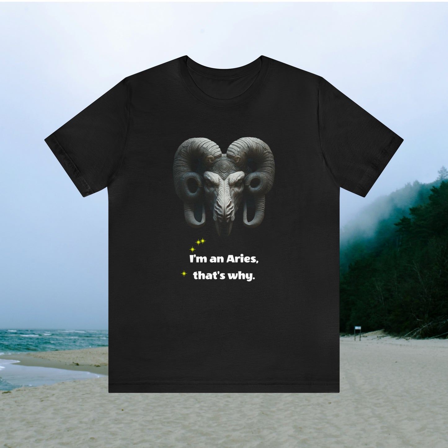Black tee with graphic "I'm an Aries, that's why.", beach background.