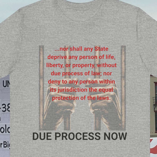14th Amendment quote graphic