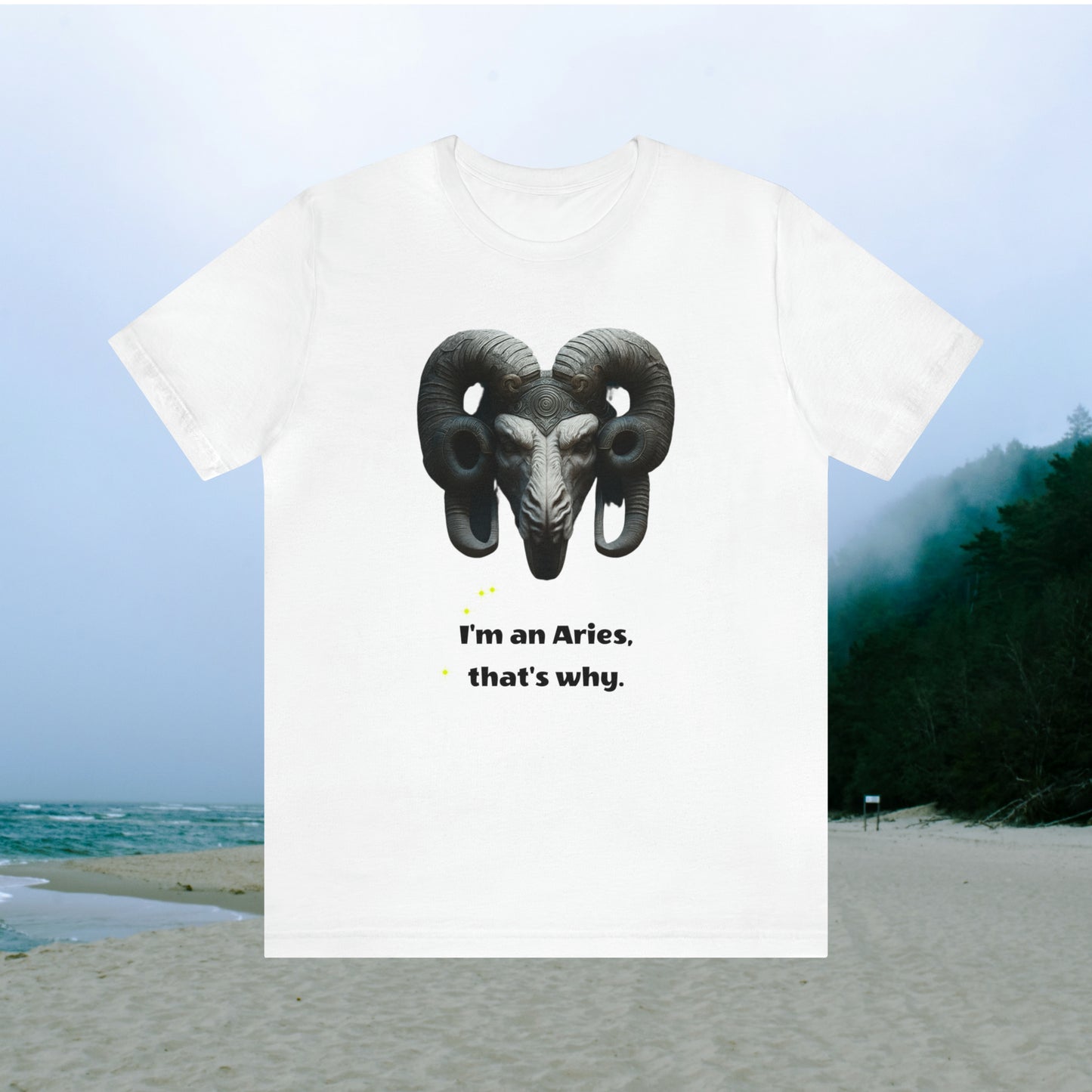 White tee with graphic "I'm an Aries, that's why.", beach background.