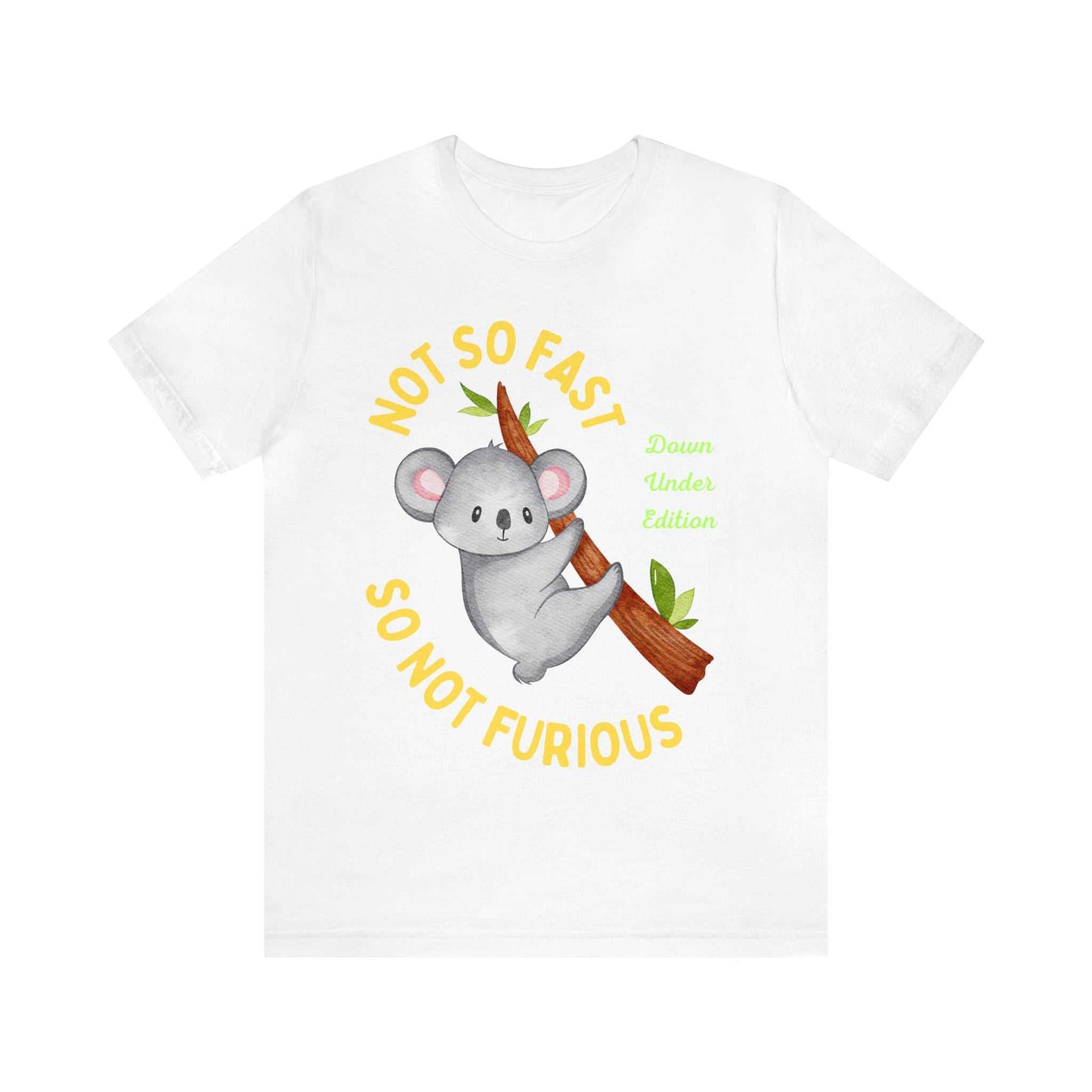 "Not So Fast, So Not Furious"