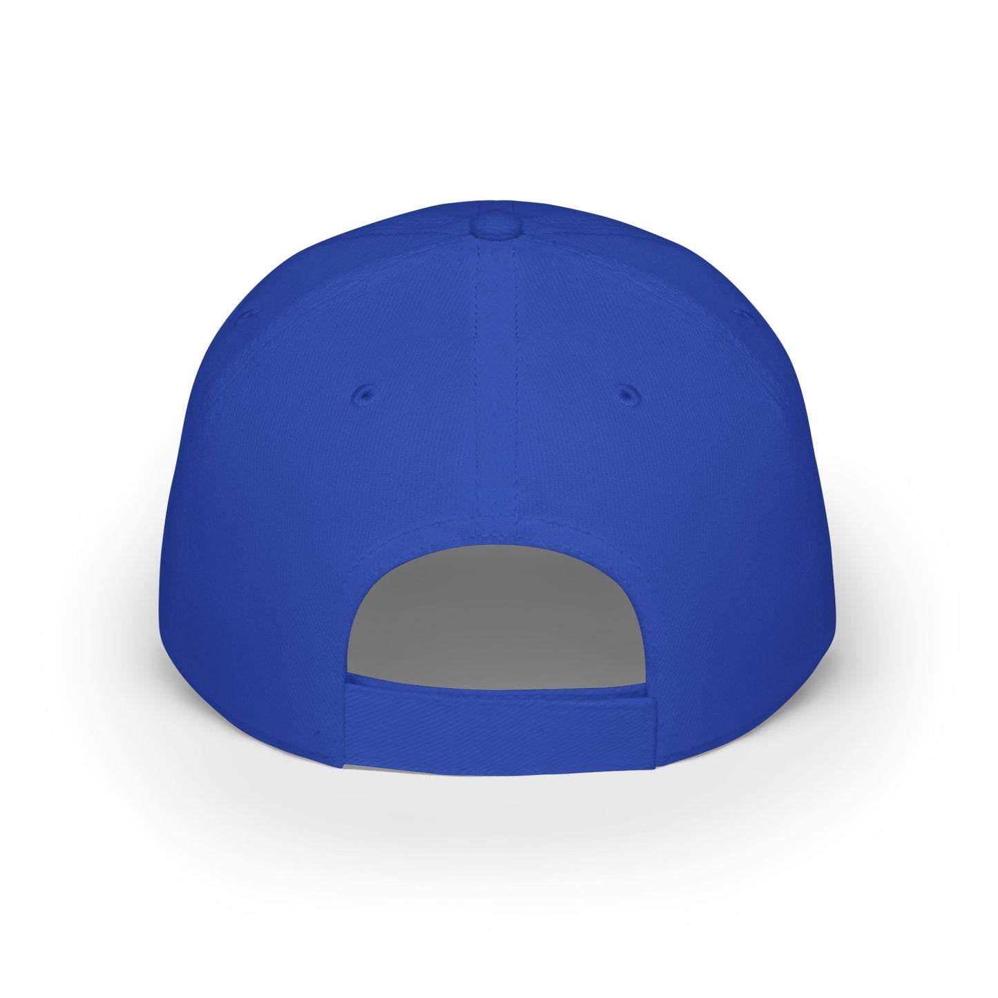 Elect a Felon Low Profile Baseball Cap - Casual Humor Hat for Political Events