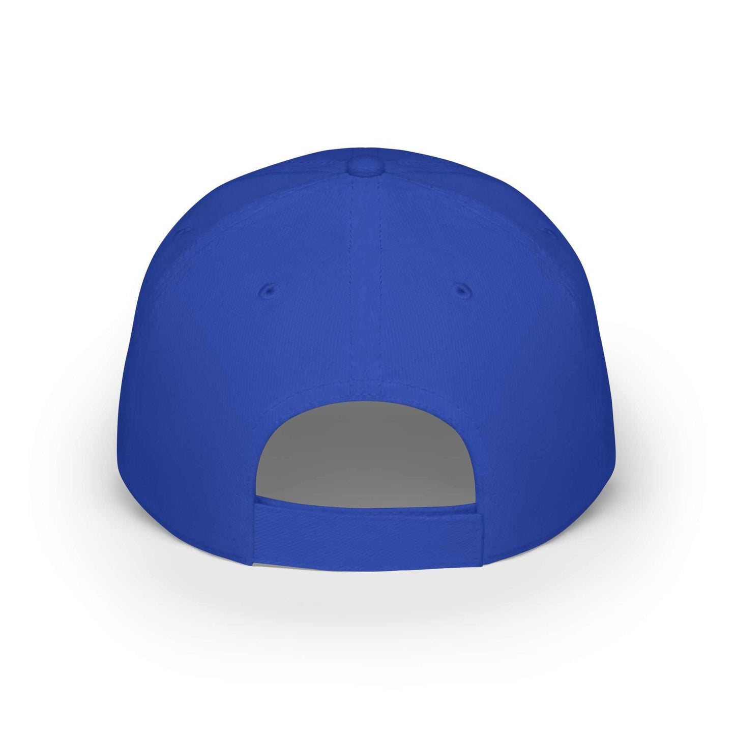 Felon. Elect a Felon, Get Crimes printed on a blue cap, back view