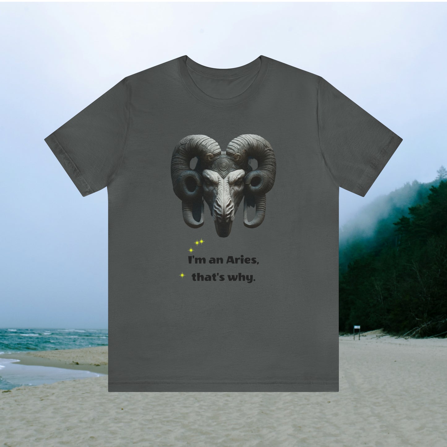 Grey tee with graphic "I'm an Aries, that's why.", beach background.