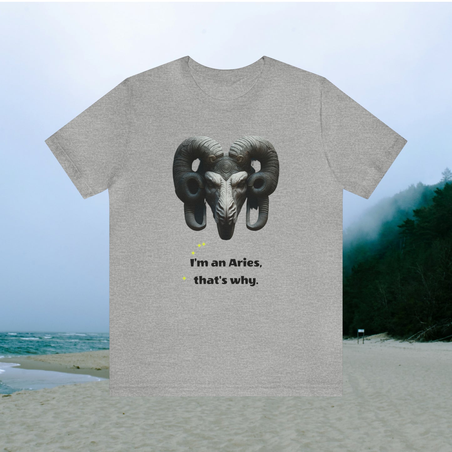 Light grey tee with graphic "I'm an Aries, that's why.", beach background.