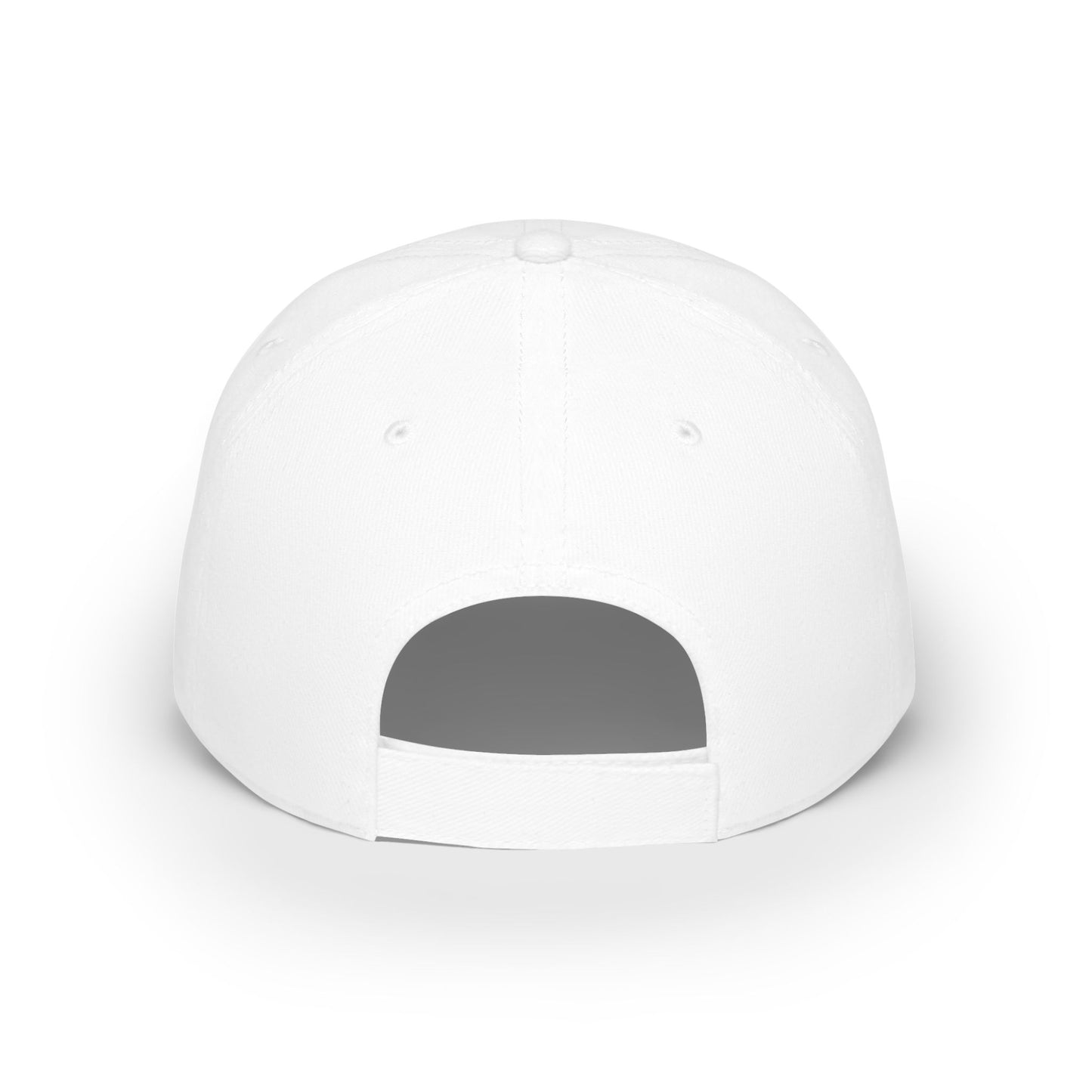 Elect a Felon Low Profile Baseball Cap - Casual Humor Hat for Political Events