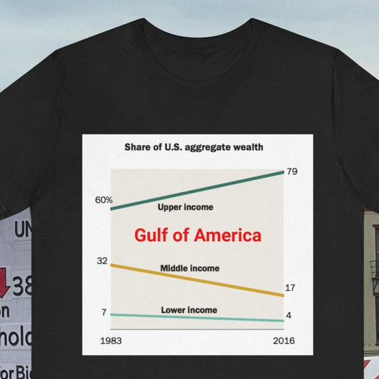 Gulf of America Wealth Disparity Chart