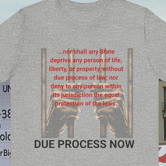 V and XIV Amendment quote 'nor shall any person be denied due process' Graphic Tee